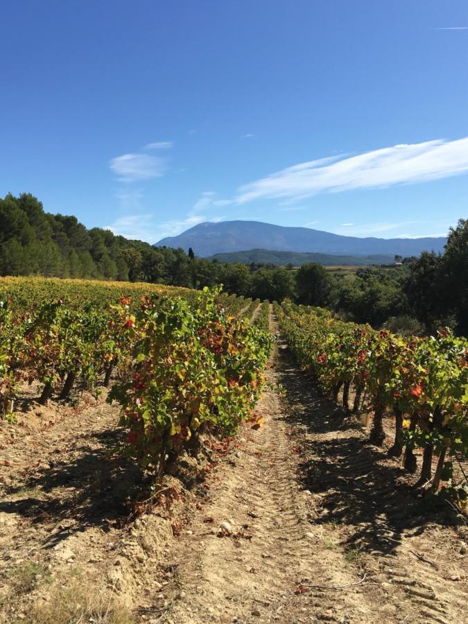 维逊拉洛梅尼 Bastide La Combe酒店 外观 照片
